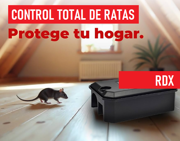 Exterminador de ratas CDMX Exterminador de ratas precio Exterminador de ratones Control de plagas CDMX Fumigación 24 horas Fumigación de ratas Fumigación de chinches CDMX Caza ratones a domicilio