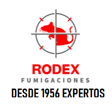 rodex fumigaciones 2026