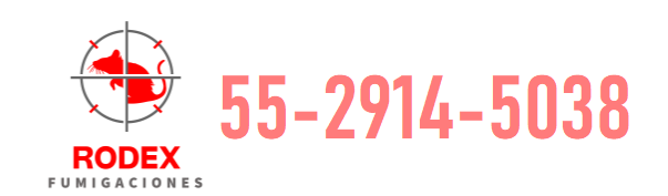 rodex fumigaciones 2026