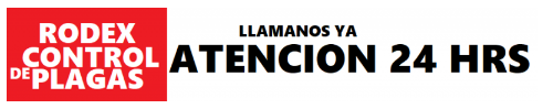 RODEX EXTERMINADOR DE RATAS 2026