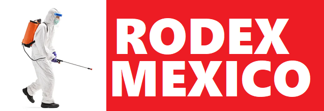 RODEX 2024