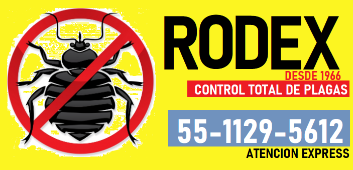 rodex